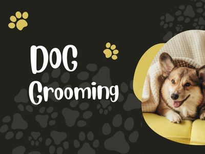 Dog Grooming in Gurugram